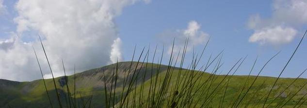 hills.jpg